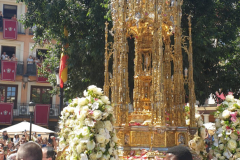 WhatsApp-Bild-2024-05-30-um-19.15.23_aa77e24d